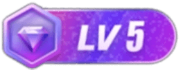 等级-LV5-阿龙blog